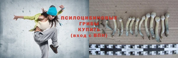 прущий лед Майский