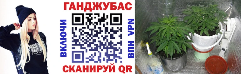 Марихуана тримм  Карабулак 