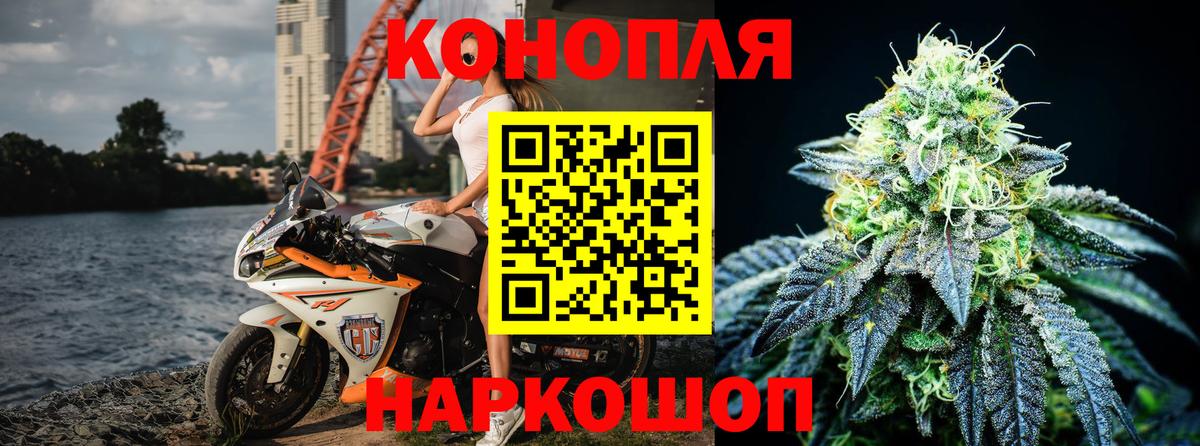 Бошки Шишки семена Карабулак